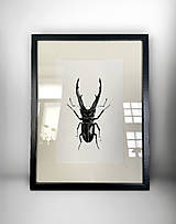 Obrazy - do 31.7. / 15% ZĽAVA // Botanický obraz A4 // Giclée art print - 18081868_