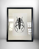 Obrazy - do 31.7. / 15% ZĽAVA // Botanický obraz A4 // Giclée art print - 18081869_