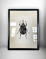 Obrazy - do 31.7. / 15% ZĽAVA // Botanický obraz A4 // Giclée art print - 18081873_