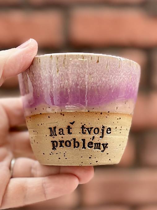 Nádoby - Mať tvoje problémy 220ml - 18081336_