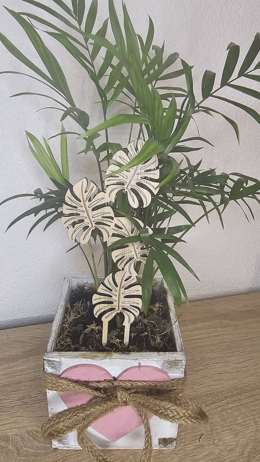 Zápich do kvetov v tvare monstera