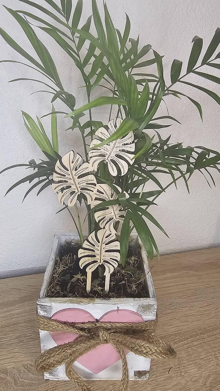 Zápich do kvetov v tvare monstera