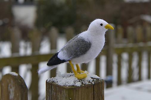 Dekorácie - Čajka tmavá, skladom - 18082674_