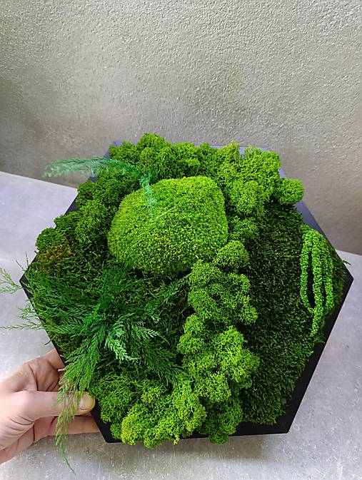 Obrazy - Machovy stabilizovany kombinovany obraz haxagon - 18085190_