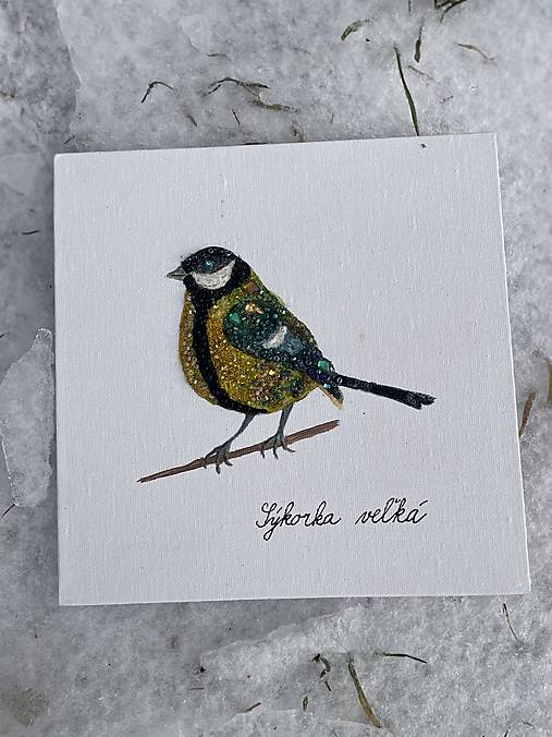 Sýkorka veľká ligotavá