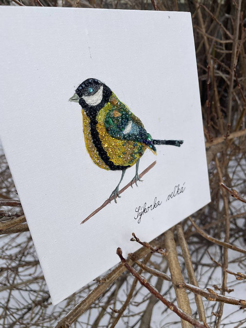 Sýkorka veľká ligotavá