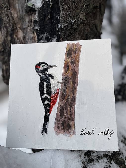 Ďateľ veľký žiarivý