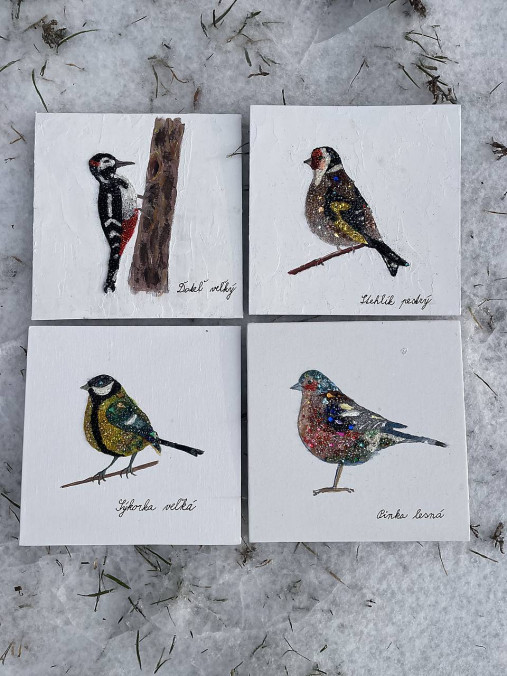 Zimná pinka jagavá