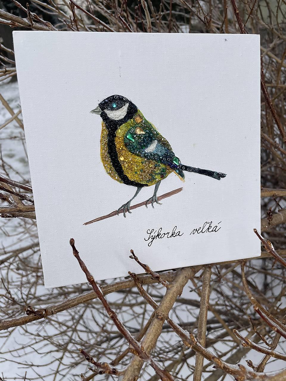 Sýkorka veľká ligotavá