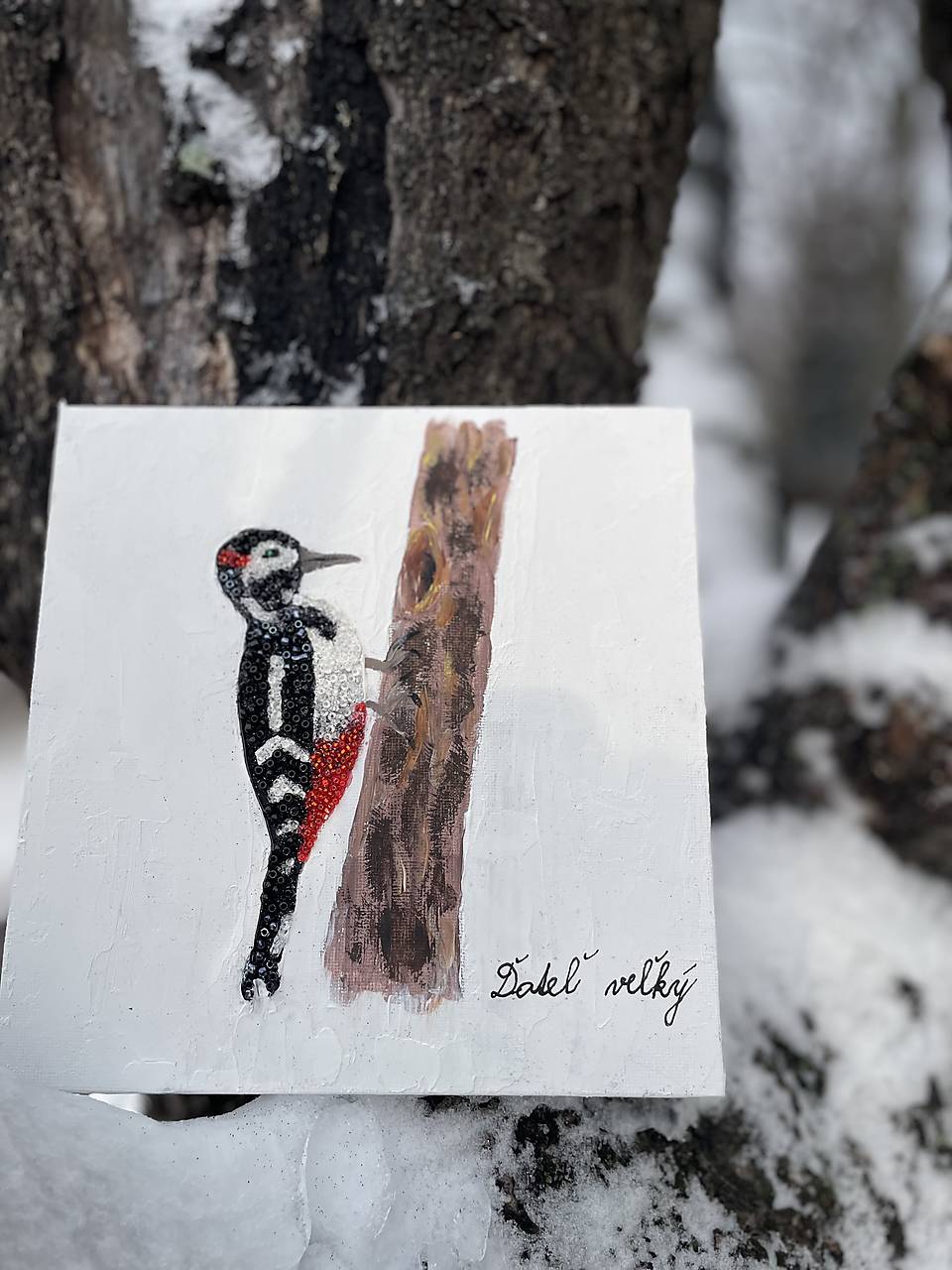 Ďateľ veľký žiarivý