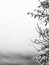 Fotografie - Ticho - Fotografia - 18094057_