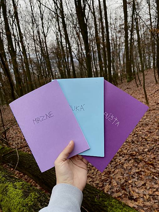 Knihy - Horské Haiku - 18097833_