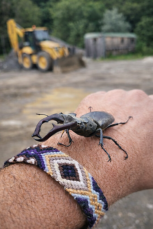 Náramok Lesné puto