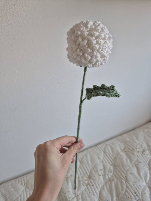 Háčkovaná chryzantéma