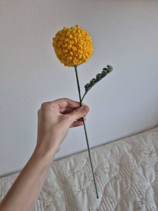 Háčkovaná chryzantéma