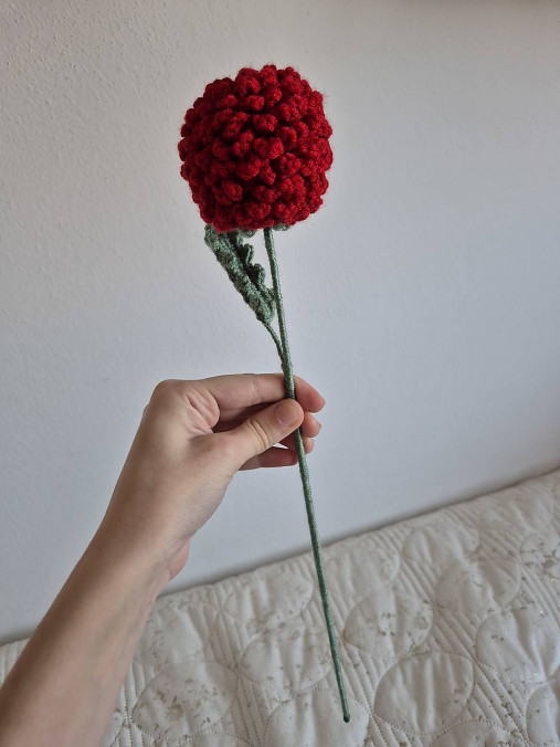 Háčkovaná chryzantéma