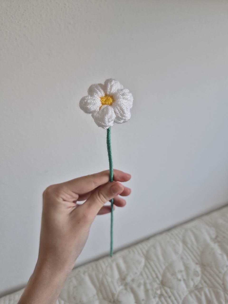 Háčkovaná sedmokráska