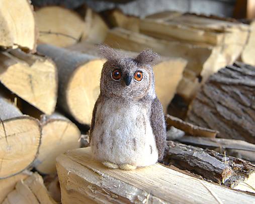 Kurzy - Kurz plstenia: Výr skalný,  10. a 11.2. v Bratislave - 18102192_