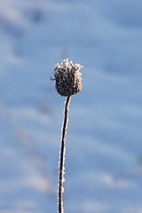 Fotografie - Zamrznutá v čase - 18103177_