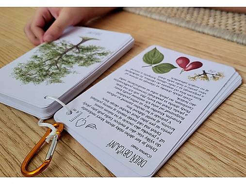 Kartičky STROMY na cesty