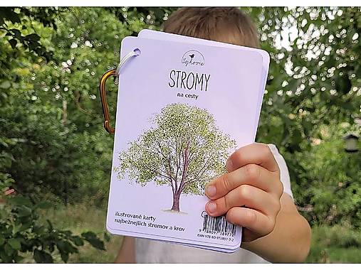 Kartičky STROMY na cesty