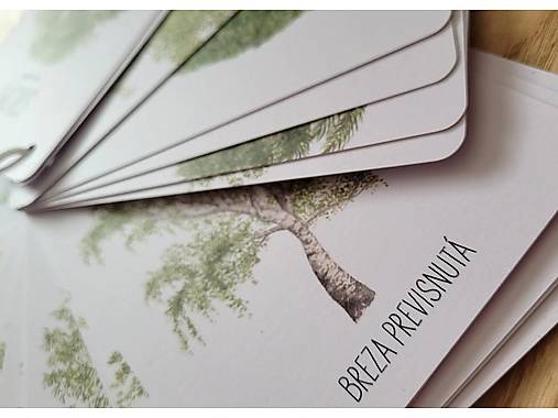 Kartičky STROMY na cesty