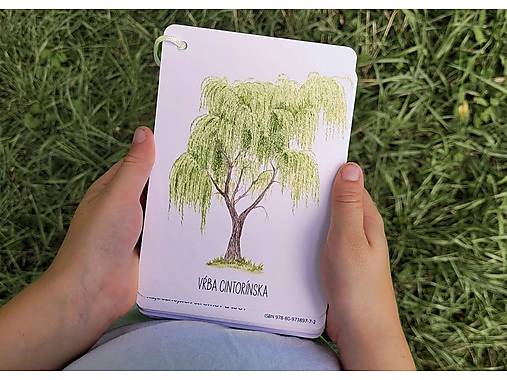 Kartičky STROMY na cesty