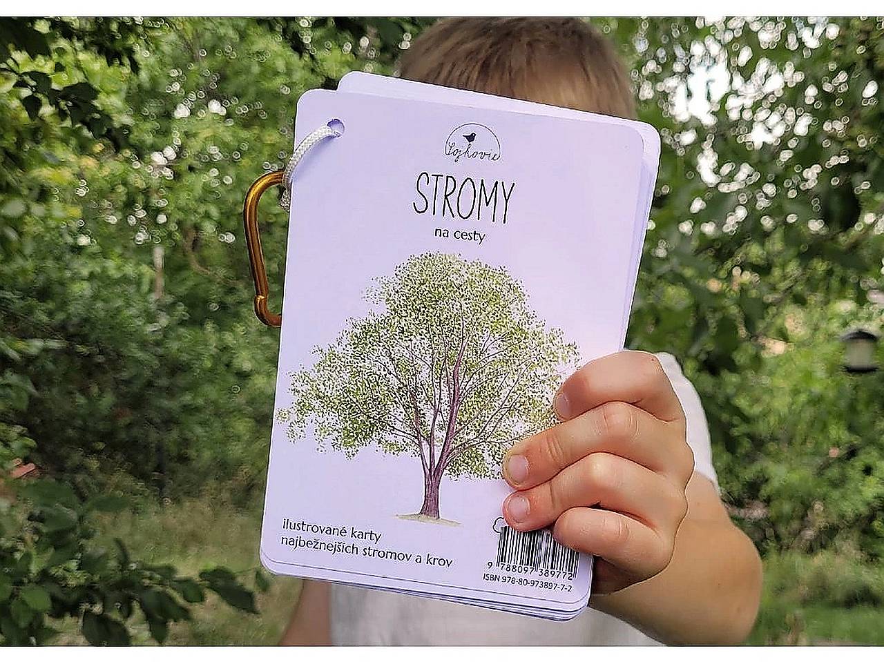 Kartičky STROMY na cesty