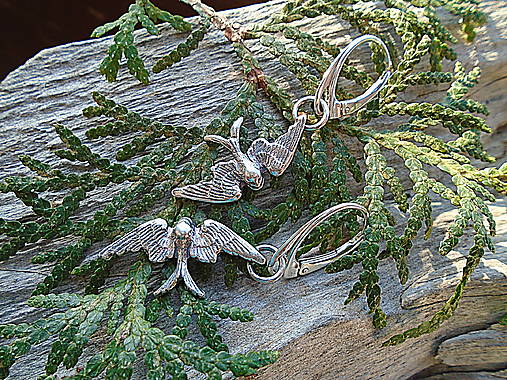 Strieborné náušnice Ag925 Lastovičky