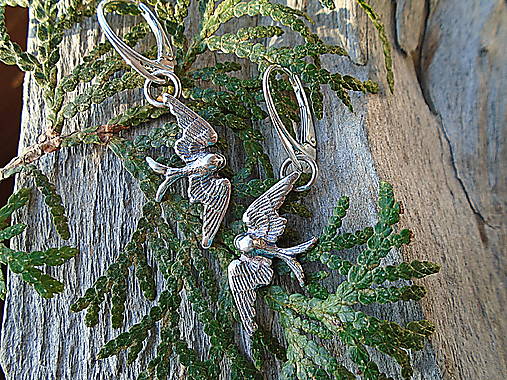 Strieborné náušnice Ag925 Lastovičky