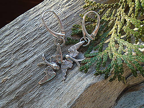 Strieborné náušnice Ag925 Lastovičky