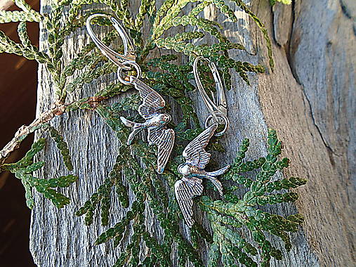 Strieborné náušnice Ag925 Lastovičky