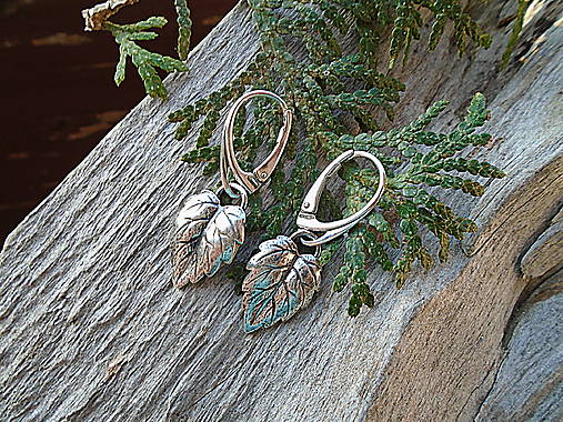 Strieborné náušnice Ag925 Listy