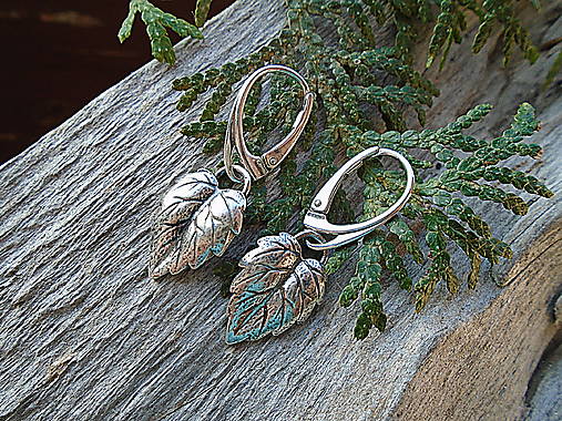 Strieborné náušnice Ag925 Listy