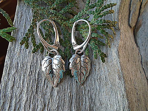 Strieborné náušnice Ag925 Listy