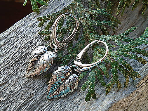 Strieborné náušnice Ag925 Listy