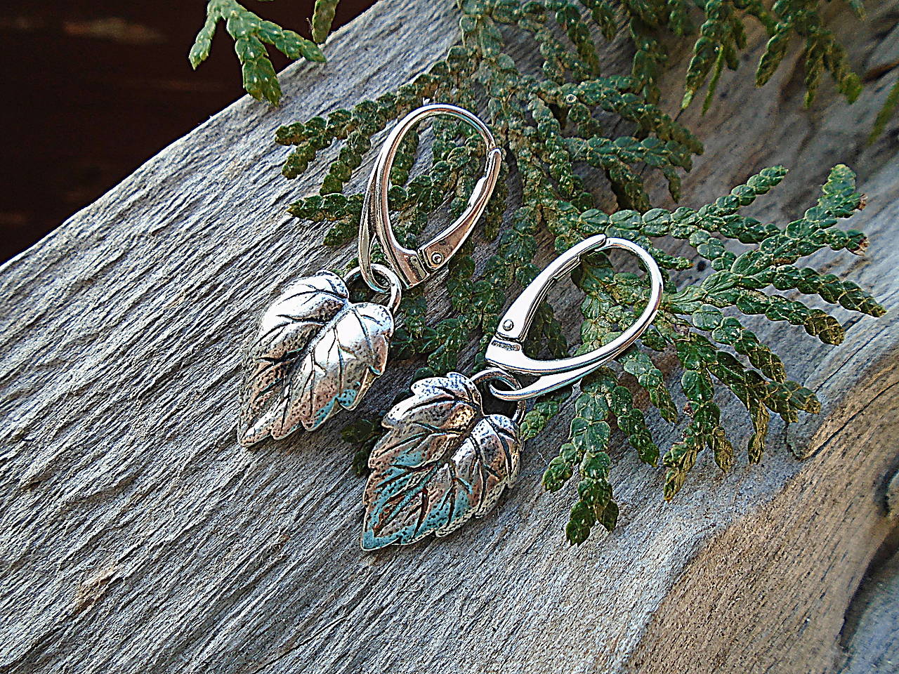 Strieborné náušnice Ag925 Listy