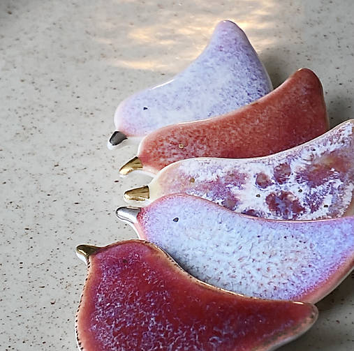 Brošne - V rozpuku. - 18107432_