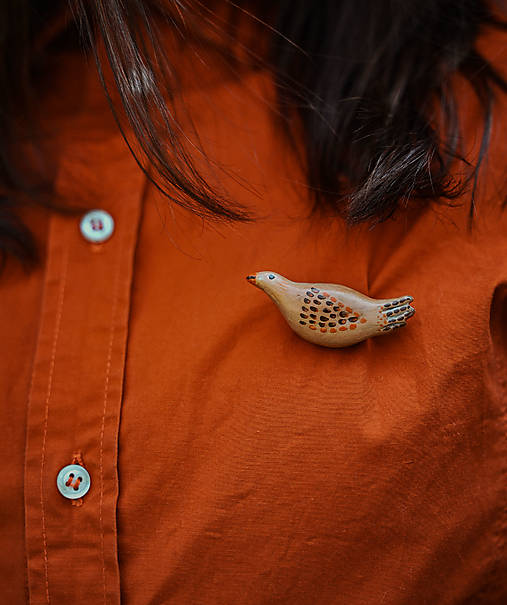 Brošne - Brošňa vtáčik - 18109241_