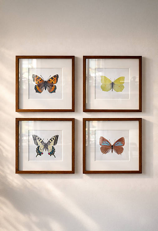 Obrazy - Set 4 printov MOTÝLE // autorské ilustrácie // Giclée art print - 18111454_