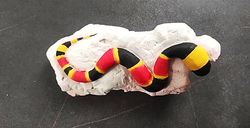 Sochy - Morský had - 18113094_