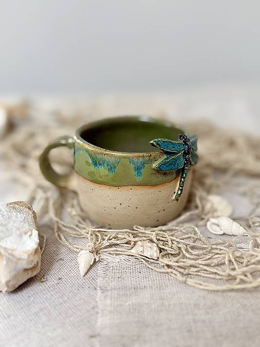 Na krídlach vážky