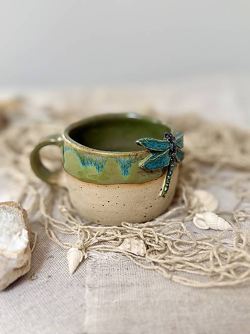 Na krídlach vážky