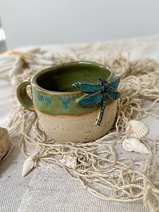 Na krídlach vážky