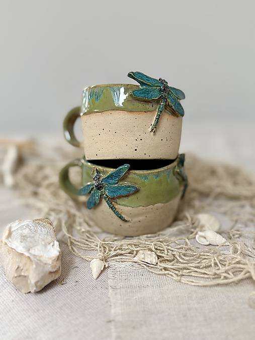 Na krídlach vážky