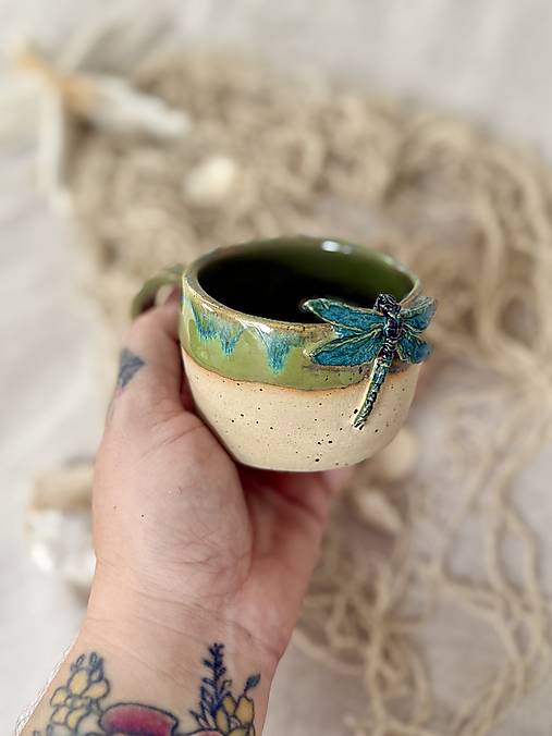 Na krídlach vážky