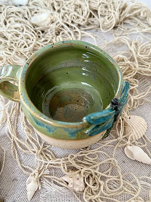 Na krídlach vážky