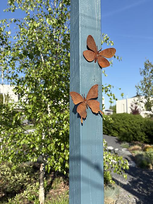 Dekorácie - Motýle – dekorácia na pergolu alebo plot, 2 ks - 18114354_