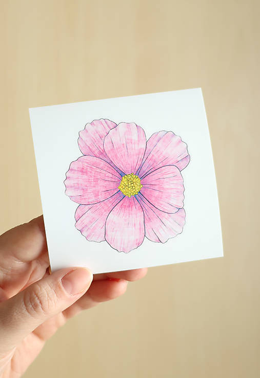 Samolepka - kvet - Krasuľka