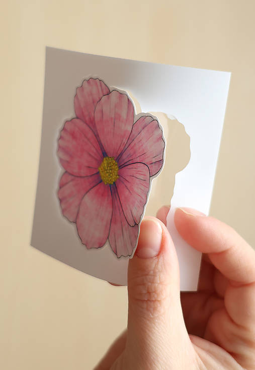 Samolepka - kvet - Krasuľka